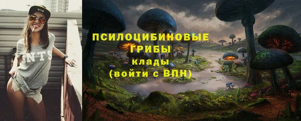 Альфа ПВП Алексеевка