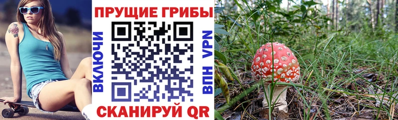 Псилоцибиновые грибы прущие грибы  купить закладку  Павловская 