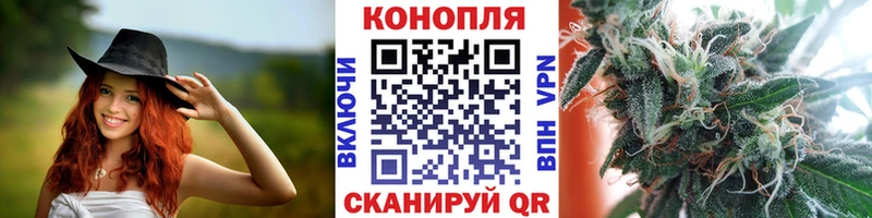 Каннабис White Widow где можно купить Павловская